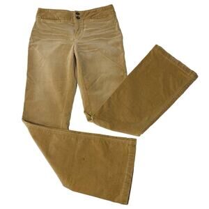 EXPRESS Stretch Tan Velvet Flare Pants Size 3/4